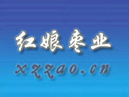 мtI(y)޹˾