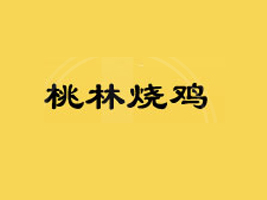 BƸRʳƷ޹˾