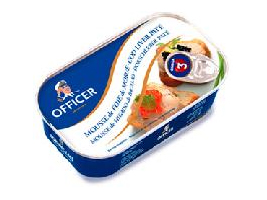 ݴʳƷ޹˾