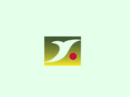 hԴI(y)޹˾