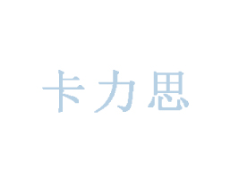 Vп˼ʳƷ޹˾