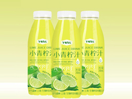 cԪɭʳƷ޹˾