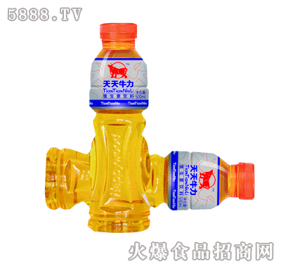 ţS\500ml