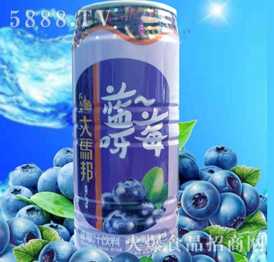 R{ݮ֭960ml