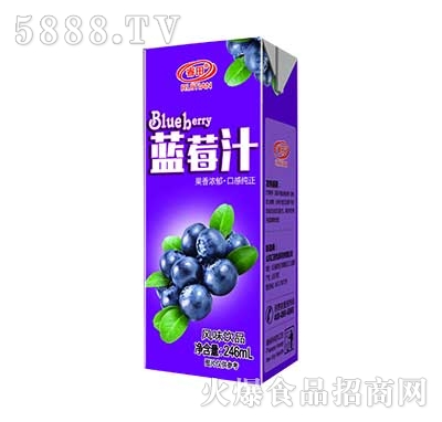 {ݮ֭LζƷ246ml