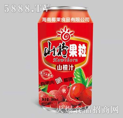 ɽ髹ɽ֭310ml