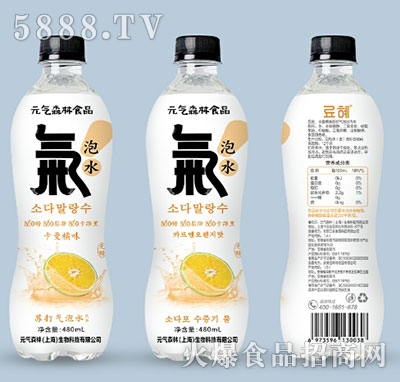 Ԫ?d)ɭʳƷKˮζ480ml