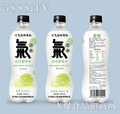 Ԫ?d)ɭʳƷKˮζ480ml