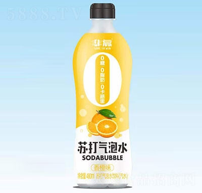 AKˮζ480ml