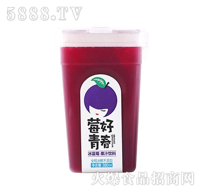 ӿ{ݮ֭380ml