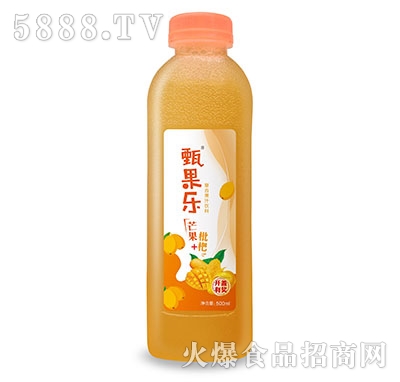 âˏ(f)Ϲ֭500ml