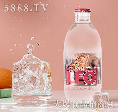 LEOˮ