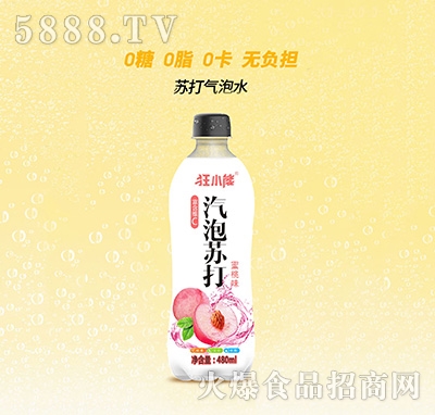 СKˮζ480ml