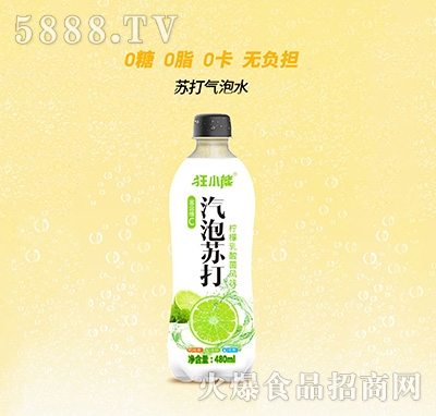 СKˮL(fng)ζƷ480ml