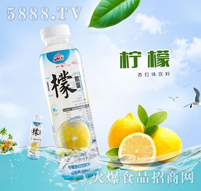 ɽKˮ500ml