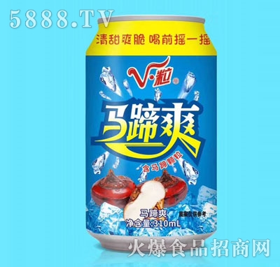 VRˬݩj310ml
