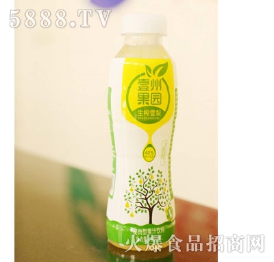 Ҽݹ@եѩ͹֭480ml