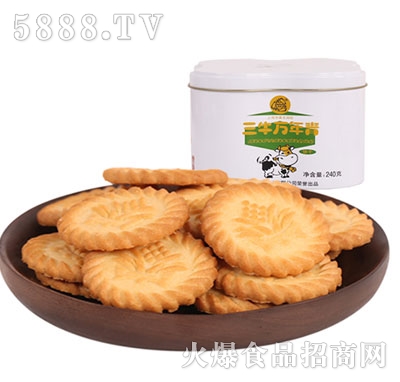 ţf240g