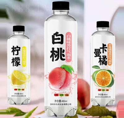 (l)ҬKˮ480ml3ƿ