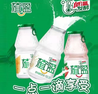 ֲӯƷ