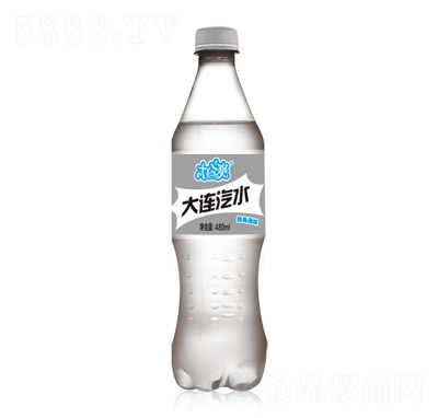 ʮˬBˮ(jng)ԭζ480ml