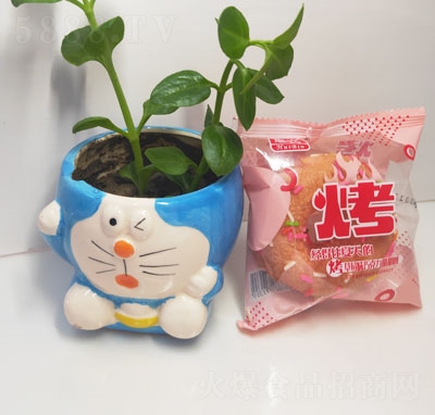 ݮζɿȦ230g