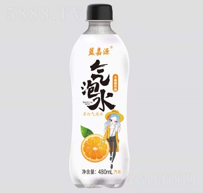 {ԴˮƿbˮLζKˮˮ480ml̼