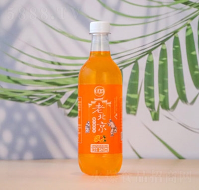{Դˮƿbˮ֭ζϱˮ̼ˮ520ml