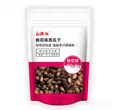 ׸ζ120g
