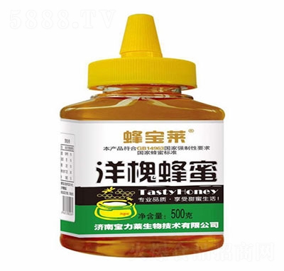 R䌚R󻱷500g