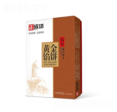 ɹSW300g