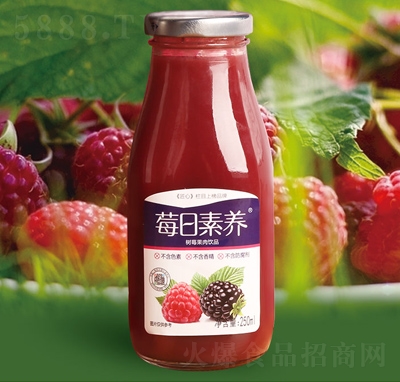 ݮB(yng)ݮ֭Ʒ250ml