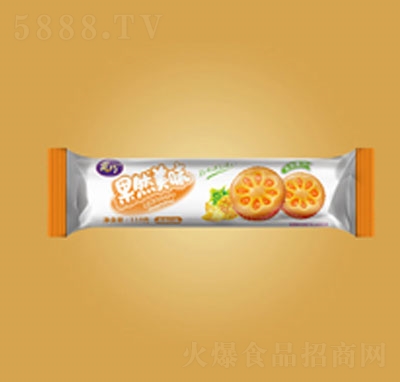 ɹȻζPζ110g