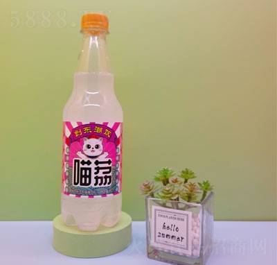 ˮ֦ζ480ml