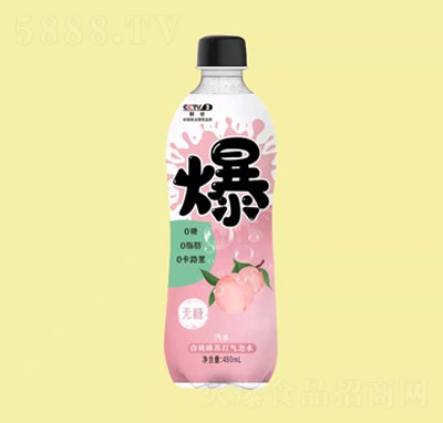 ŰζKˮ480ml