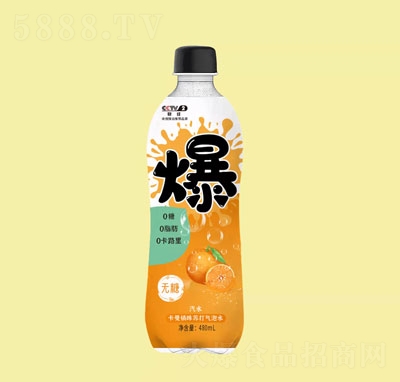ſζKˮ480ml