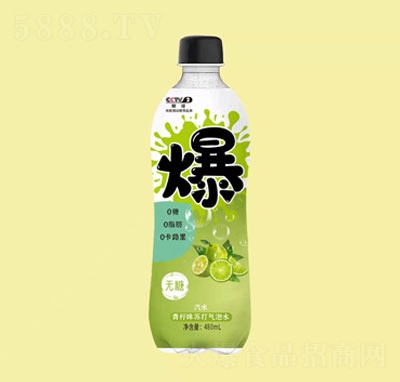 ζKˮ480ml