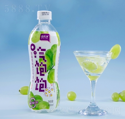 ٘Kˮζļ480ml