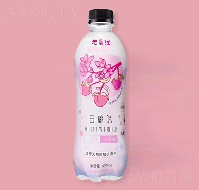 Ԫ?d)Kˮ̴̳؛ԴxõVȪˮζ490ml