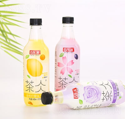 ٘聕ˮ̼ļ480ml