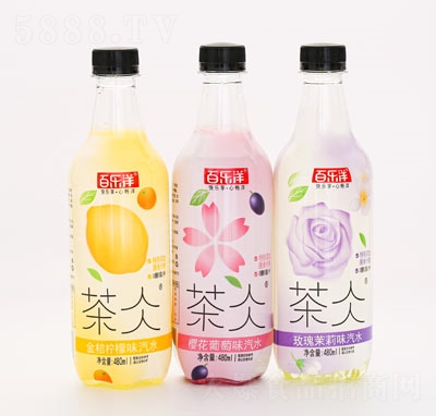 ٘聕ˮ̼ļ480ml