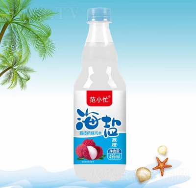 Сæ}֦L(fng)ζˮ496ml