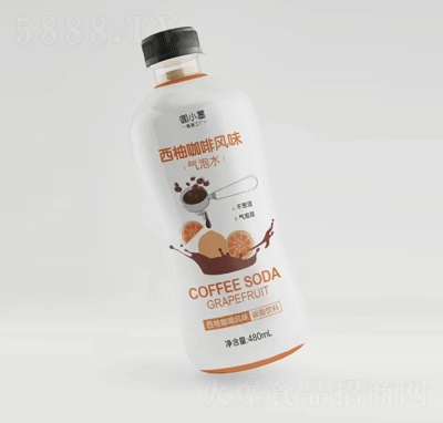 СīֿL(fng)ζˮ̴480ml