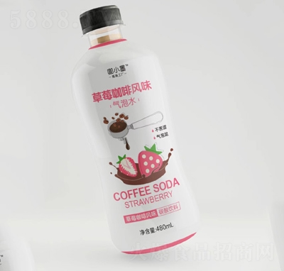 СīݮL(fng)ζˮ̴480ml