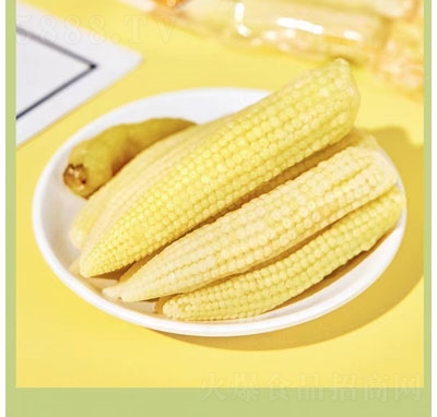 ζ׹Se߲ʳ