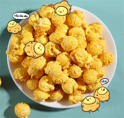 㱬׻500g׻ζӰԺʳ