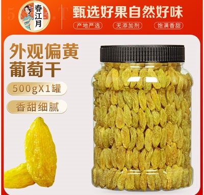 ѸɹT500
