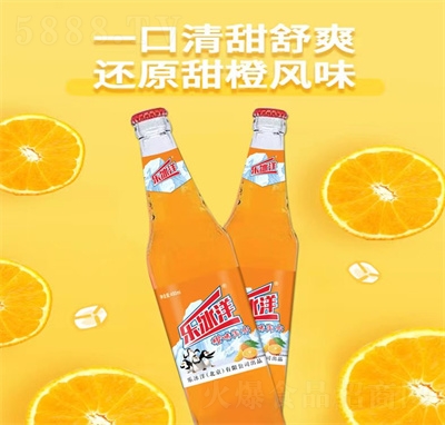 (l)ζˮ̼490ml