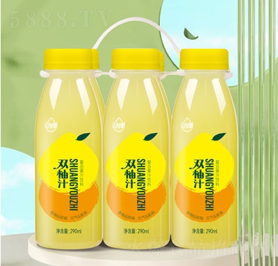 ӿp֭ͺϹ֭290ml