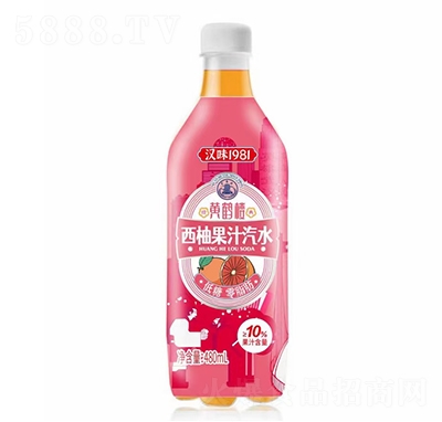 hζ1981SQֹ֭ˮ̼480ml
